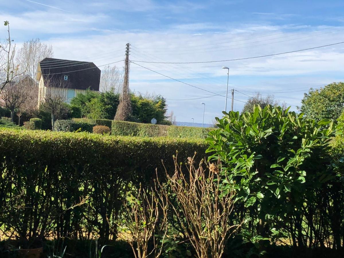 Studio En Rez De Jardin -"Le Petit Nid" A Trouville Zewnętrze zdjęcie